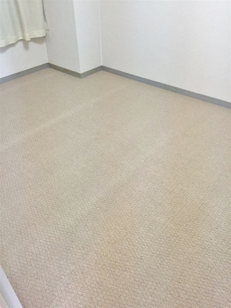 敷き込みカーペット張替え 秋田県の総合不動産はむつみワールド 新築住宅 不動産売買 賃貸 敷き込みカーペット張替え 秋田県の総合不動産はむつみワールド 新築住宅 不動産売買 賃貸